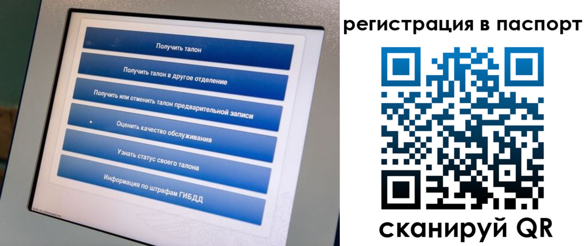 временная регистрация адрес в Гусь-Хрустальном
